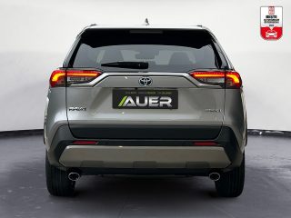 Toyota RAV4 2,5 Hybrid Active Drive 2WD 218PS | ab € 43.490