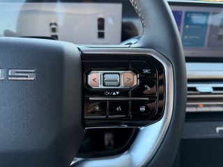 Maxus Maxus eTerron 9 Flagship | ab 72.390,-