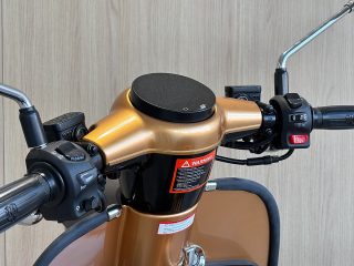 Royal Alloy JPS 350 on road
