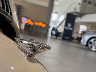 Royal Alloy GT2 Elegance