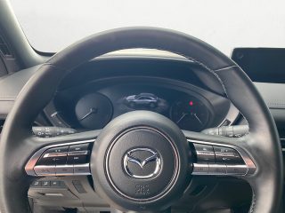 Mazda MX-30 PHEV MAKOTO Aut. | Navi | Kamera
