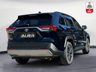 Toyota RAV4 2,5 Hybrid Active Drive CVT 218PS