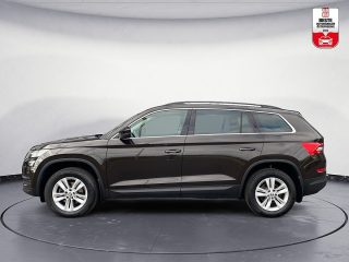 Skoda Kodiaq 2.0 TDI Ambition 4x4 | Navi | AHK