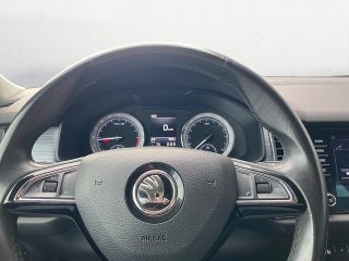 Skoda Kodiaq 2.0 TDI Ambition 4x4 | Navi | AHK