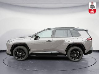 Toyota RAV4 2,5 Hybrid PHEV Style 2WD | LED | Sitzheizung | Kamera |